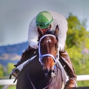 Meet your Posher, Leonel